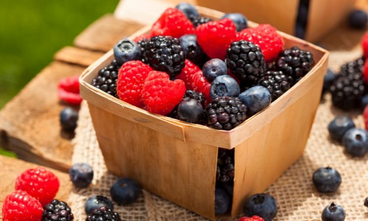 Organic Berries Market: Growth, Trends, and Forecast (2025-2034)