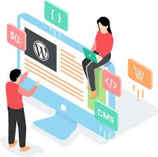 WordPress Website Development Company - 3dfuzion