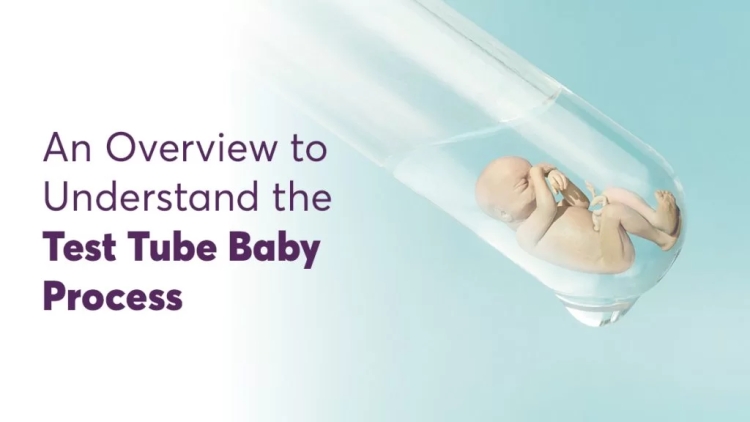 What Is the Process of Making Test Tube Babies?