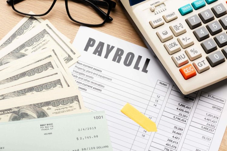 The Ultimate Guide to Choosing the Best Online Payroll Software