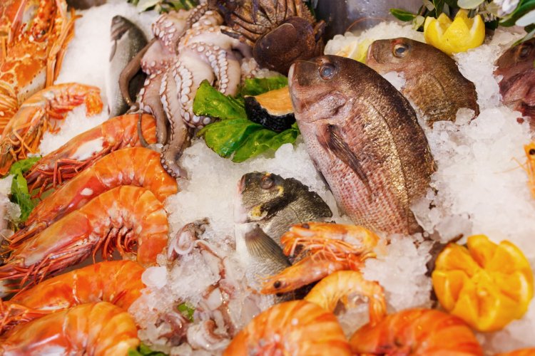 Certified Sustainable Seafood: Ensuring Quality and Sustainability