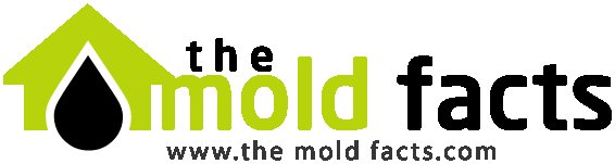 Understanding Mold Allergy Symptoms: Key Indicators and What You Need to Know