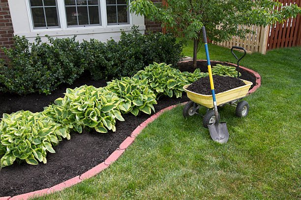 Essential Tips for Outdoor Garden Maintenance