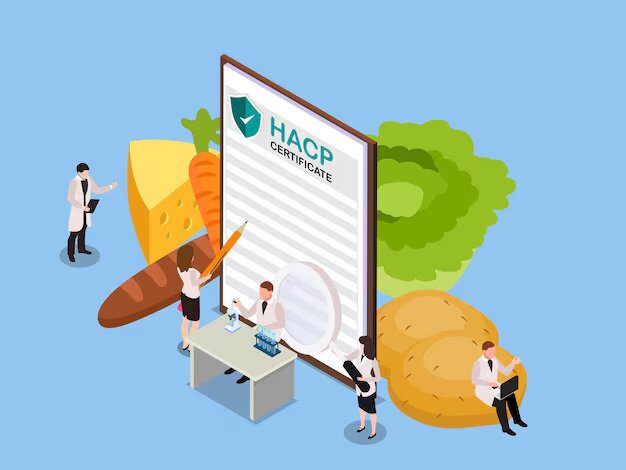 Mastering HACCP Certification: Your Blueprint for Food Safety Excellence