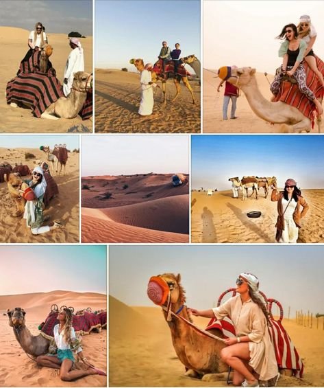 Explore the Best Desert Safari Tours in UAE