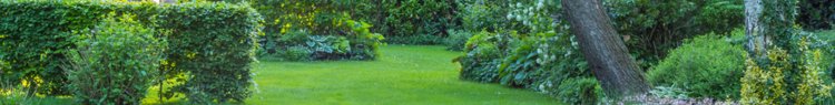 Professional Lawn Mowing in Malabar – A Lush Lawn All Year Round