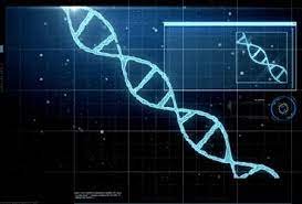 Explore Your Heritage: Eye Color Paternity Test and Facial Ethnicity Test