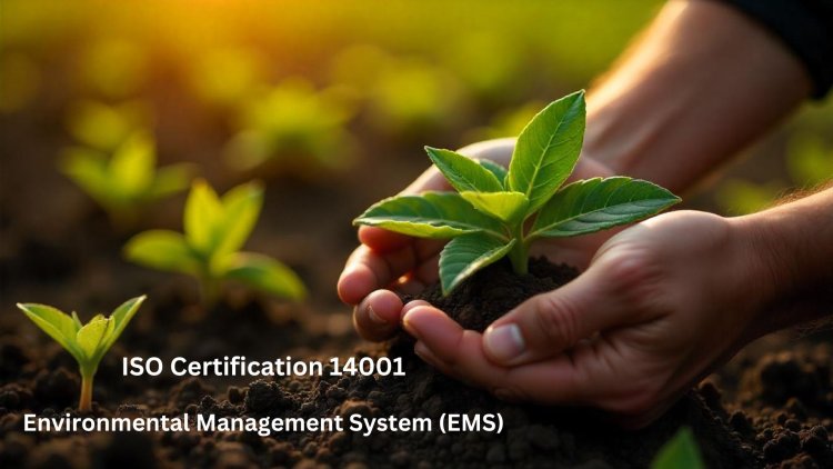 Maximize Environmental Efficiency with ISO Certification 14001