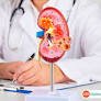 Kidney Treatment in India: A Comprehensive Guide