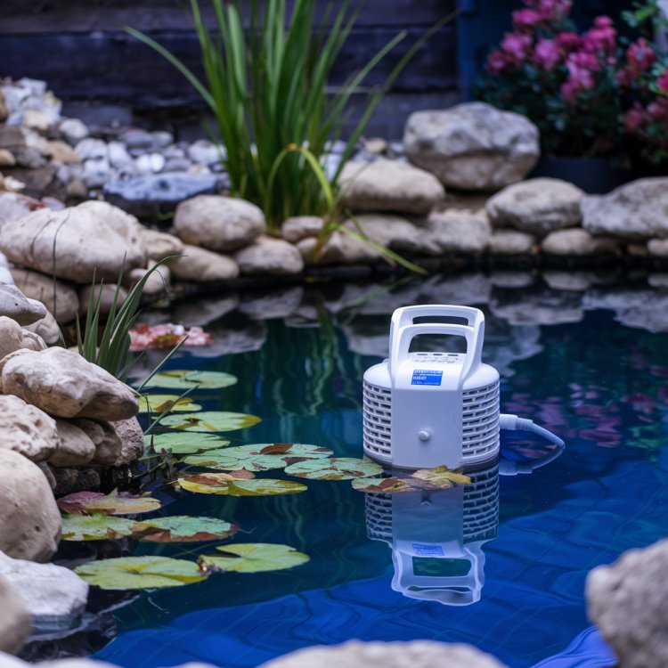 Do I Need a Pond Filtration Pump in winter to keep my Fish Healthy?