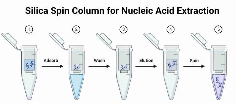 Silica Spin Column for Nucleic Acid Extraction