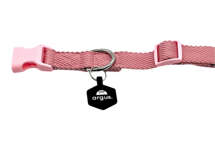 How to Order a Silent Pet ID Tag Online