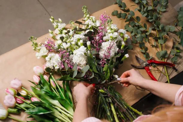 Cut Flower Market Size: An In-Depth Look at Global Expansion By 2034