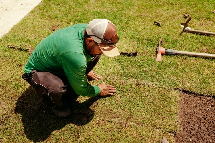 How to Avoid Common Sod Installation Problems