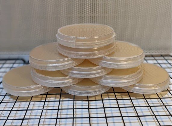 Pre Poured Agar Petri Dishes – Convenient, Sterile, and Ready to Use