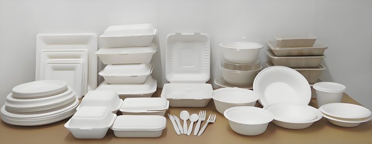 Beyond Plastic: Why Businesses Must Invest in Biodegradable Tableware Now