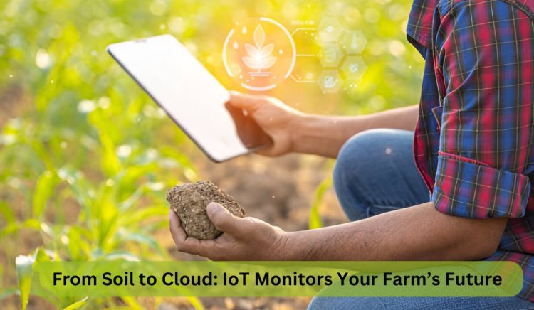 From Soil to Cloud: IoT Monitors Your Farm’s Future!